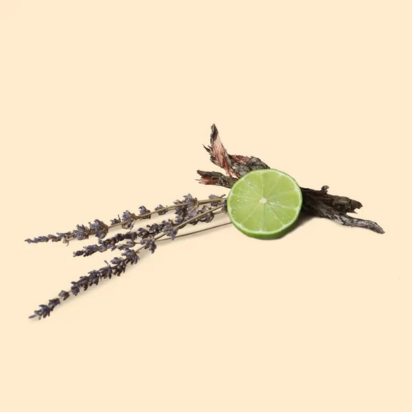 Refill-Black Ice Type