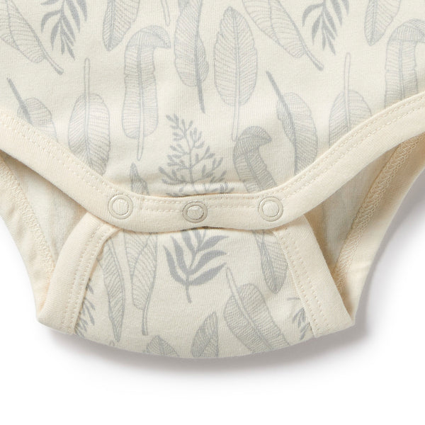 Forever Ferns organic pointelle bodysuit