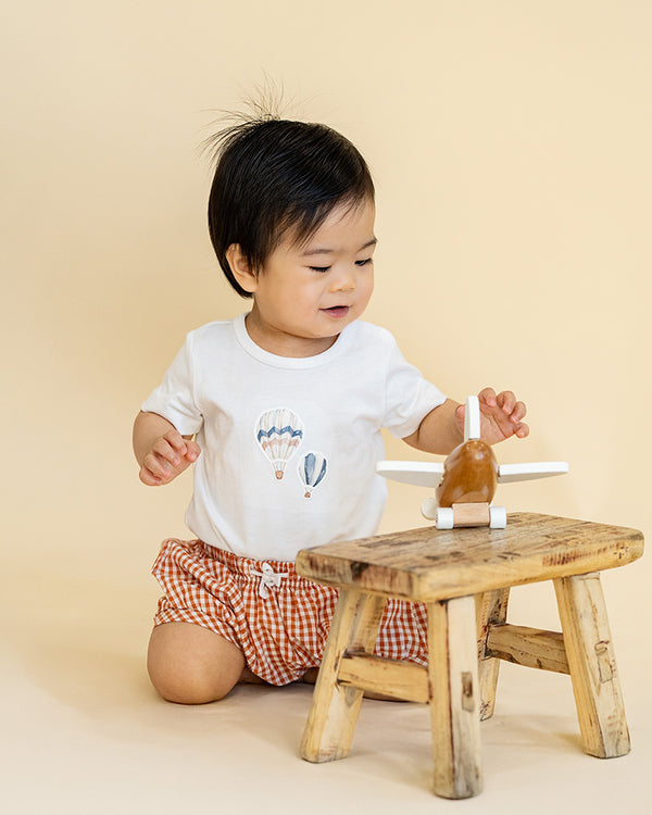 HARLAN HOT AIR BALLOON 2 PIECE SET