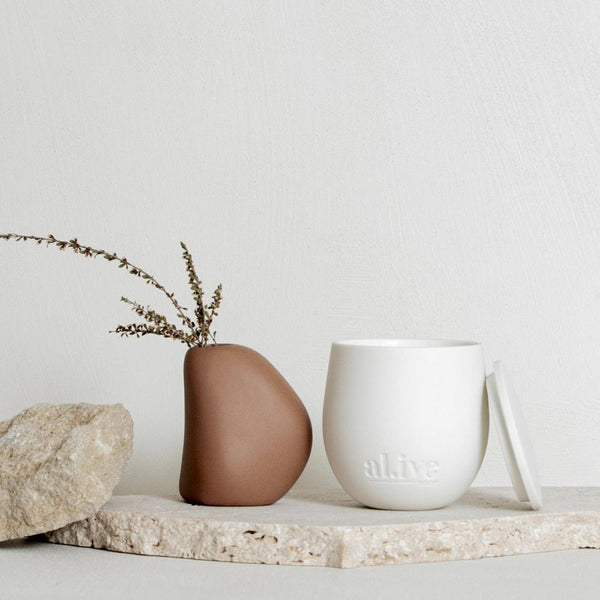 Sweet Dewberry & Clove Soy Candle