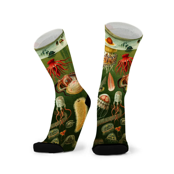 Red Fox Socks-Tentacle Spectacle
