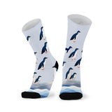 Red Fox Socks-Fairy Penguin