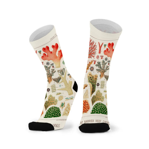 Red Fox Socks-Sea Scholar