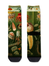 Red Fox Socks-Tentacle Spectacle