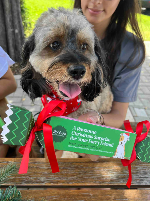 Christmas Doggy Bon Bons