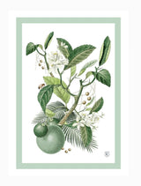 Zjoosh-Botanical Tea Towel Limes