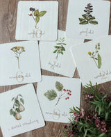 Pop Ya Tot- Botanical Milestone Cards