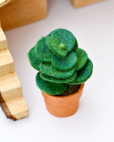Tara Treasures-Felt Green Jade Succulent Plant with Lokta Paper Pot