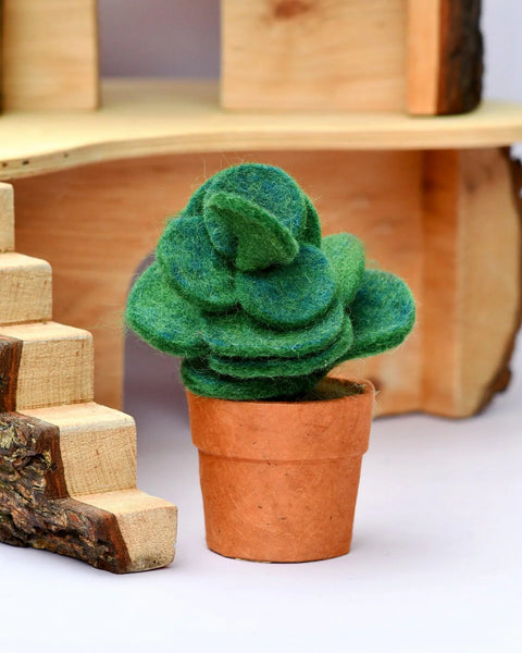 Tara Treasures-Felt Green Jade Succulent Plant with Lokta Paper Pot