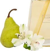 Flower Box Home Fragrance - Premium Diffuser Refill + Funnel