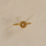 Bellis Ring