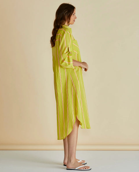 Hayman Shirt Dress