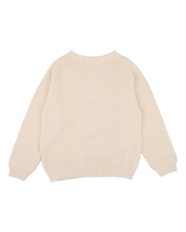 Fern Hand Embroidered Knitted Jumper