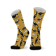 Red Fox Socks-Swooping Season