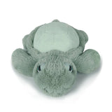 OB Deigns| Little Tyler Turtle Soft Toy