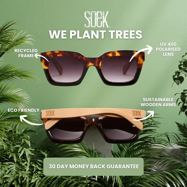 LILA GRACE IVORY TORTOISE l Brown Lens l White Maple Arms