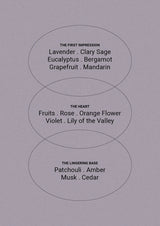 Therapy Relax Lavender & Clary Sage Hand & Body Wash