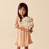 Checkerberry Organic Crinkle Ruffle Dress