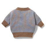 Wilson & Frenchy -Coco Blue Speckle Organic Knitted Check Jumper