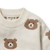 Wilson & Frenchy Beary Cute Organic Knitted Jacquard Jumper