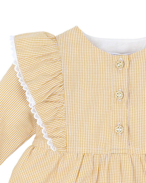 Winnie Embroidered Gingham Dress