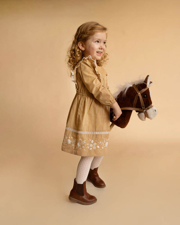 Winnie Embroidered Gingham Dress