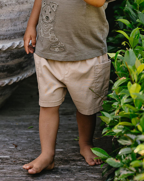 Bebe by Minihaha- BOYS STONE SHORTS 3-5