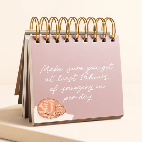 Be More Cat Desktop Flip Chart