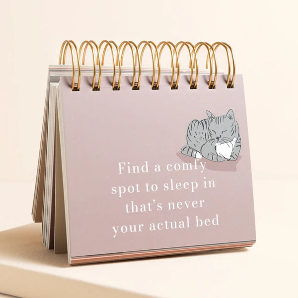 Be More Cat Desktop Flip Chart