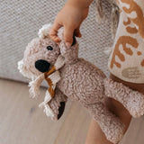 Humphrey Koala