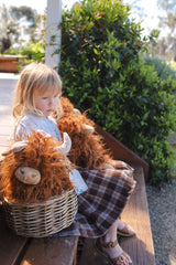 Heidi the Highland Cow