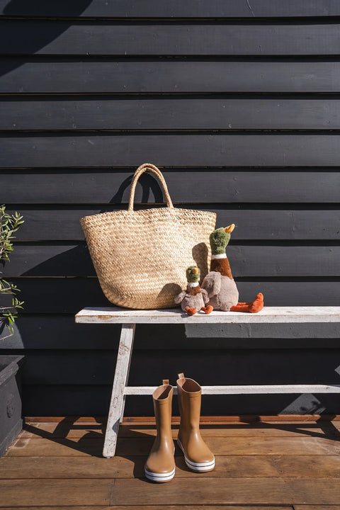 Hugo the Mallard Duck