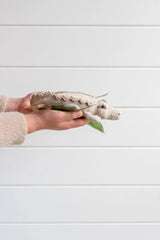 Nana Huchy Karen the Crocodile Rattle