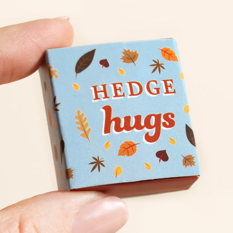 Tiny Matchbox Ceramic Hedgehog Token