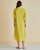 Hayman Shirt Dress