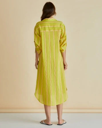 Hayman Shirt Dress