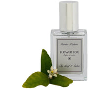 Flower Box Home Fragrance Fig Leaf & Cedar - Interior Perfume