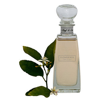 Flower Box Home Fragrance Fig Leaf & Cedar - Standard Diffuser