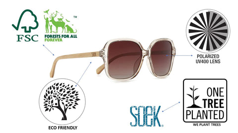 SOEK TAINE FROST - Clear Frosted Sunglasses Khaki Lens Walnut Arms